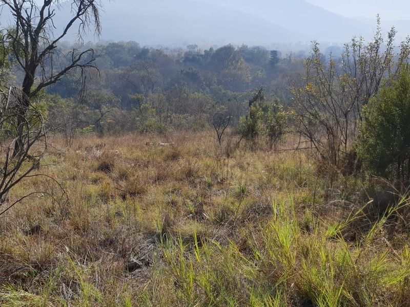 Beautiful Riverfront Stand  in the Crocodile River Reserve - Photo 2