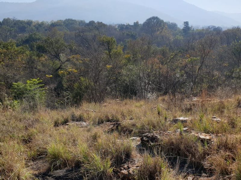 Beautiful Riverfront Stand  in the Crocodile River Reserve - Photo 4