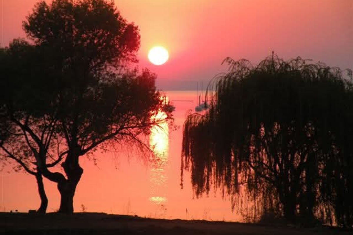 Large Stand with Water Views – Ready to Build in Deneysville - Photo 5