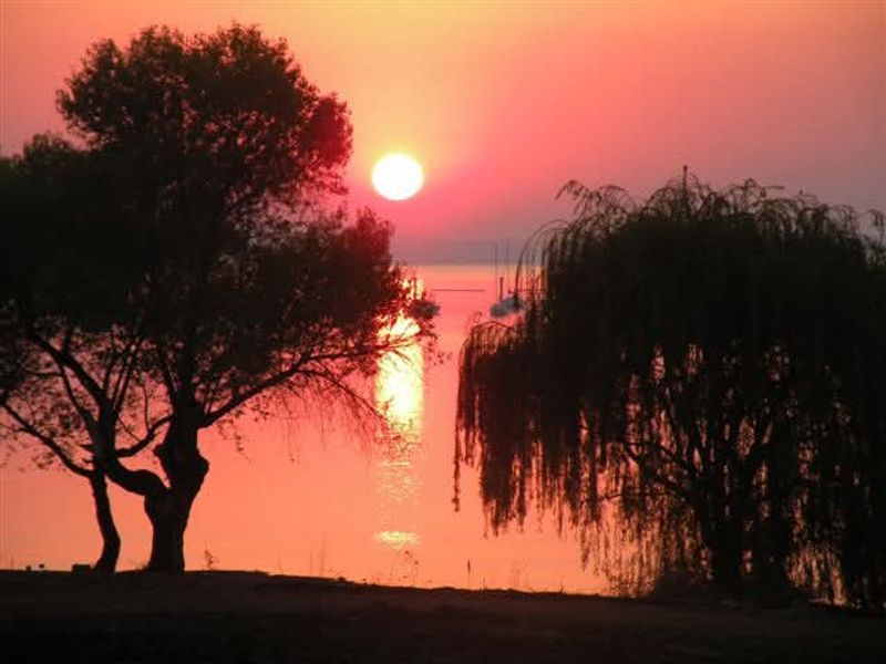 Large Stand with Water Views – Ready to Build in Deneysville - Photo 5