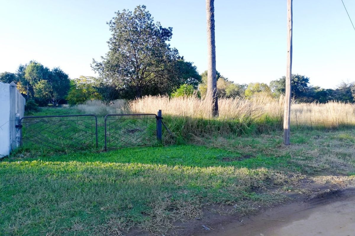 Large Stand with Water Views – Ready to Build in Deneysville - Photo 3