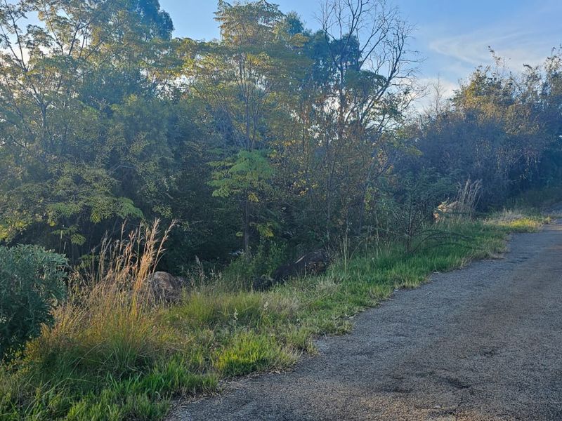 Tranquil, Tree - filled Vacant Land - Photo 4