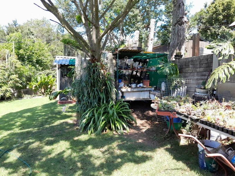 Spacious family home with office, pool and garden in Estcourt - Photo 7
