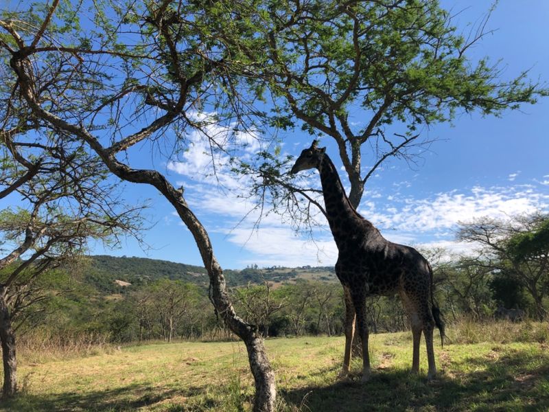 Beautiful Views, Peaceful, Safe and Secure - Photo 8