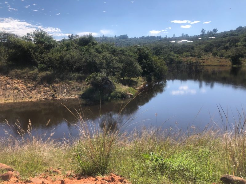A scenic view of a natural dam surrounded by lush indigenous vegetation and rolling hills.