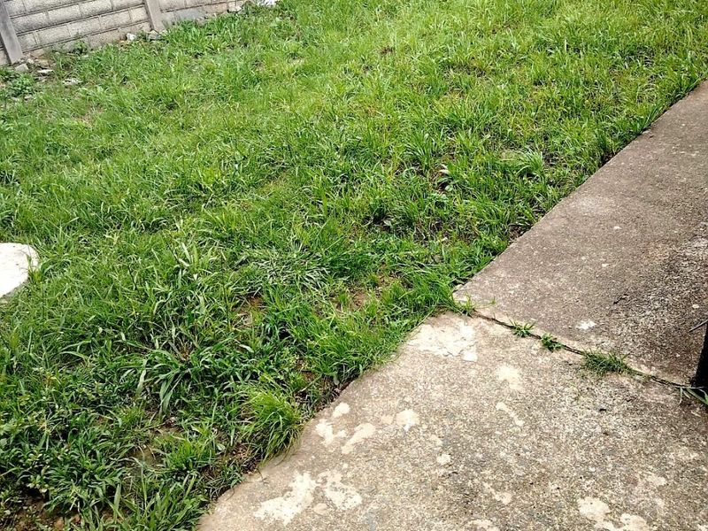 3 Bedroom House in Buffalo Flats for Sale - Photo 3