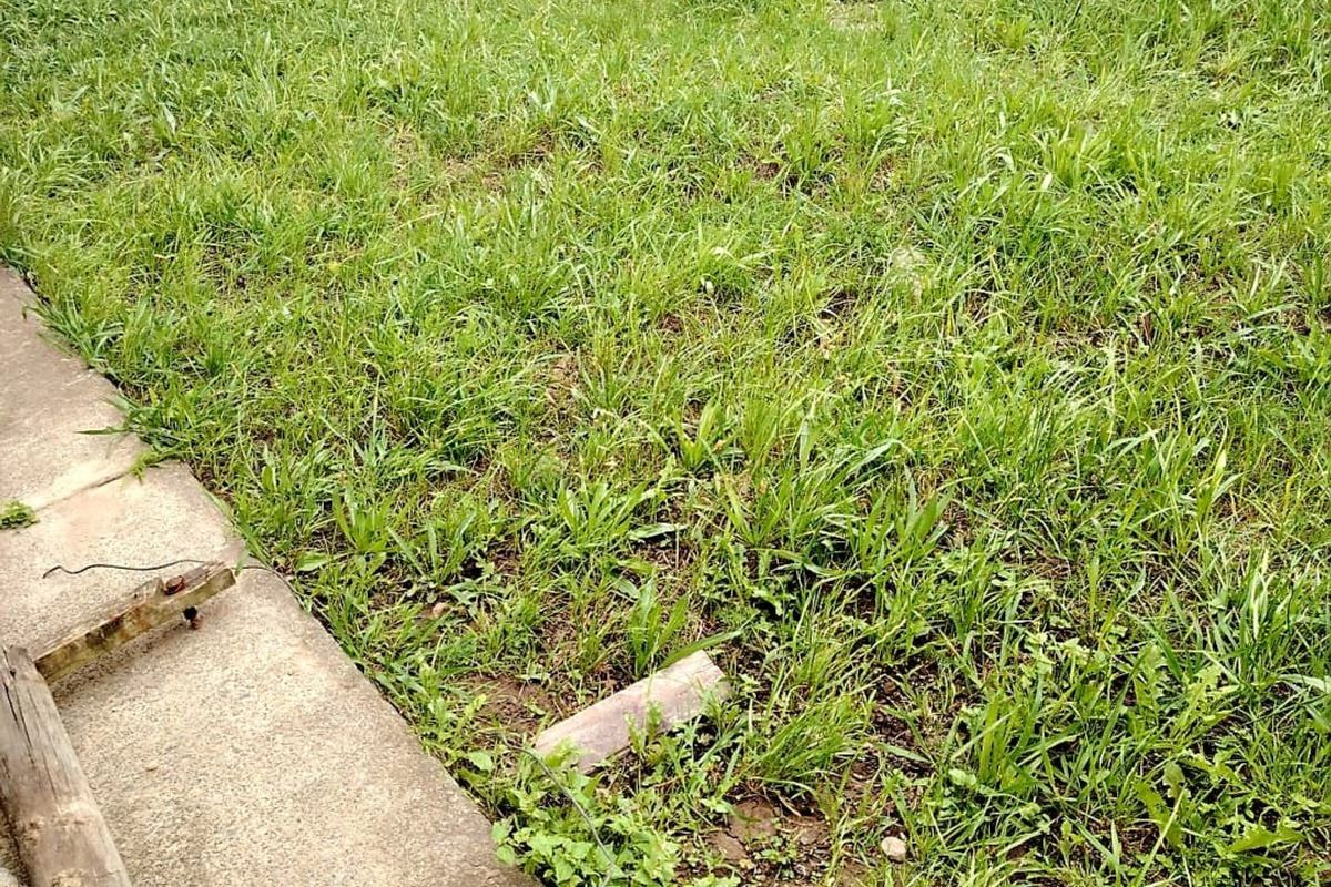 3 Bedroom House in Buffalo Flats for Sale - Photo 4