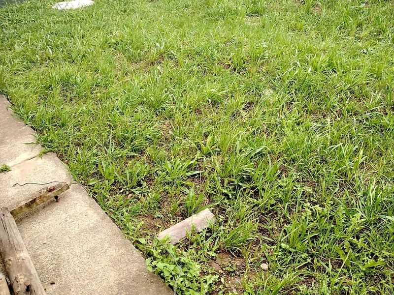 3 Bedroom House in Buffalo Flats for Sale - Photo 4