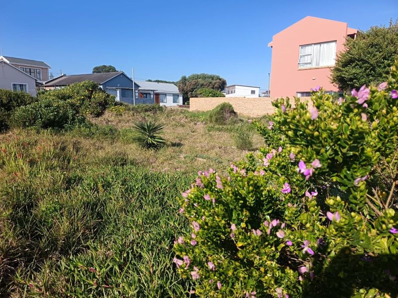 Prime Vacant Stand in Kleinkrantz, Wilderness. - Photo 9