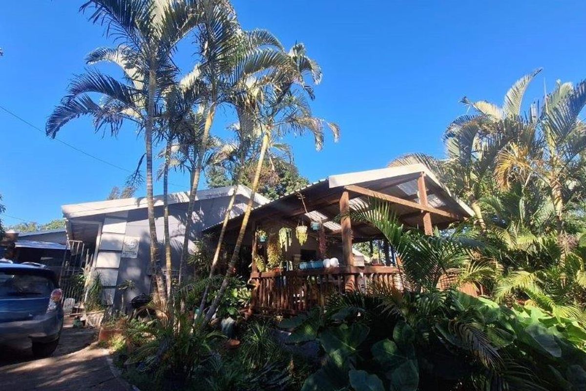 A rear view of the property featuring a covered timber deck and patio area surrounded by established garden landscaping.