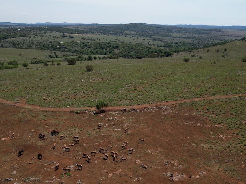 2 Stunning Farms in the Crocodile Reserve to be Sold Together - 220 Hectares of Beautiful Scenic Land, 6km River front, teeming with game - Photo 8