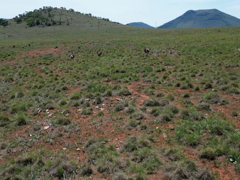 2 Stunning Farms in the Crocodile Reserve to be Sold Together - 220 Hectares of Beautiful Scenic Land, 6km River front, teeming with game - Photo 7
