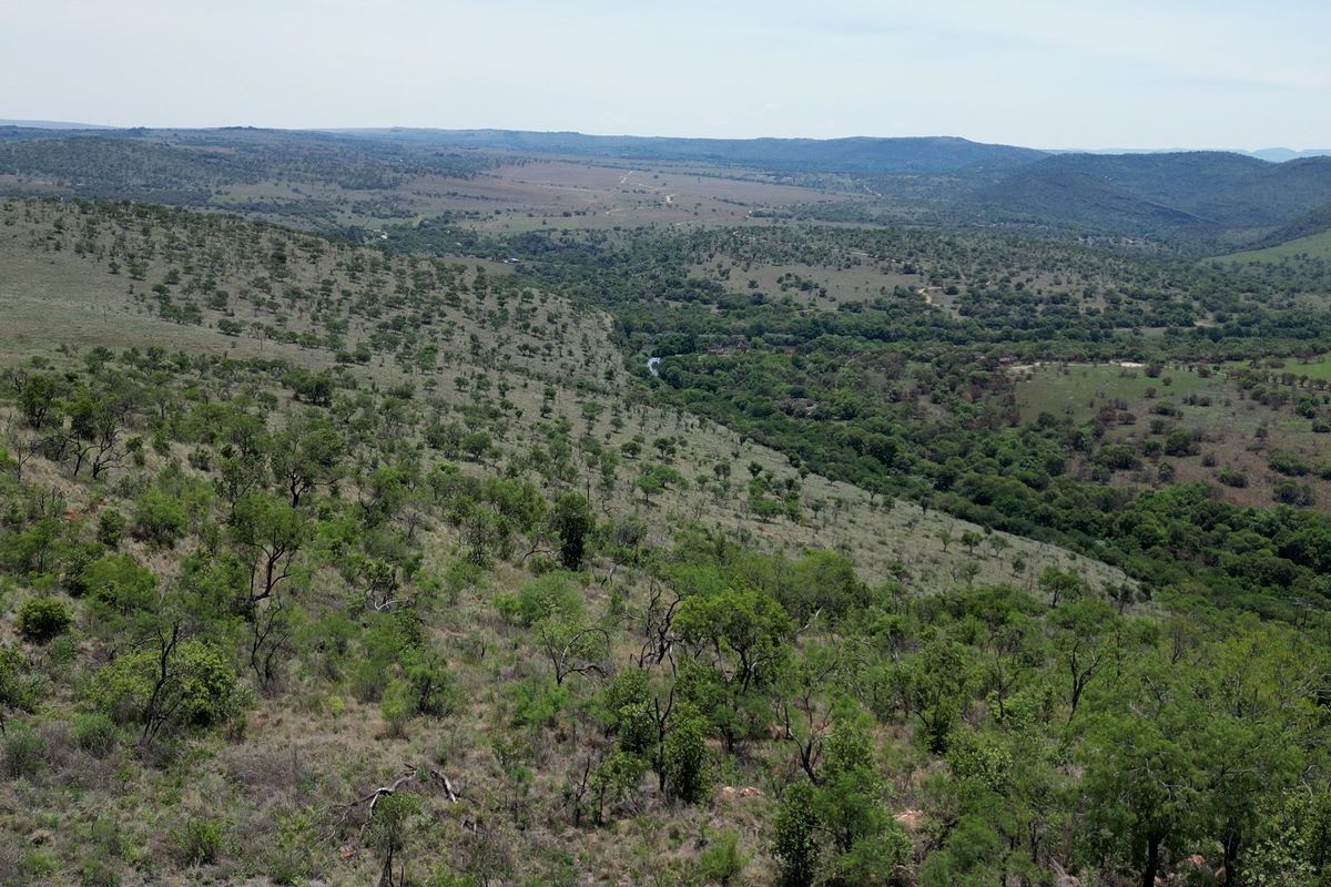 2 Stunning Farms in the Crocodile Reserve to be Sold Together - 220 Hectares of Beautiful Scenic Land, 6km River front, teeming with game - Photo 2