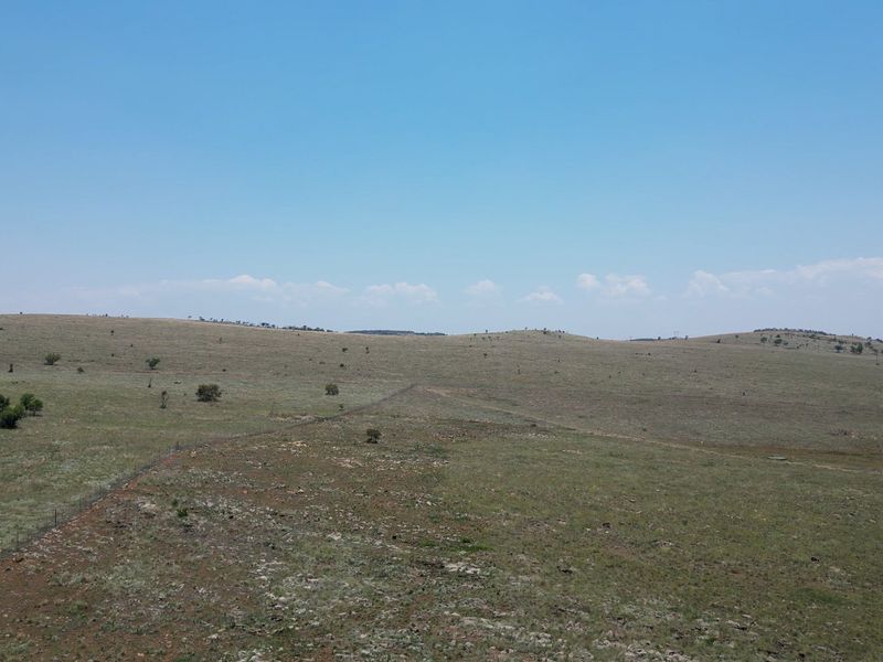2 Stunning Farms in the Crocodile Reserve to be Sold Together - 220 Hectares of Beautiful Scenic Land, 6km River front, teeming with game - Photo 3