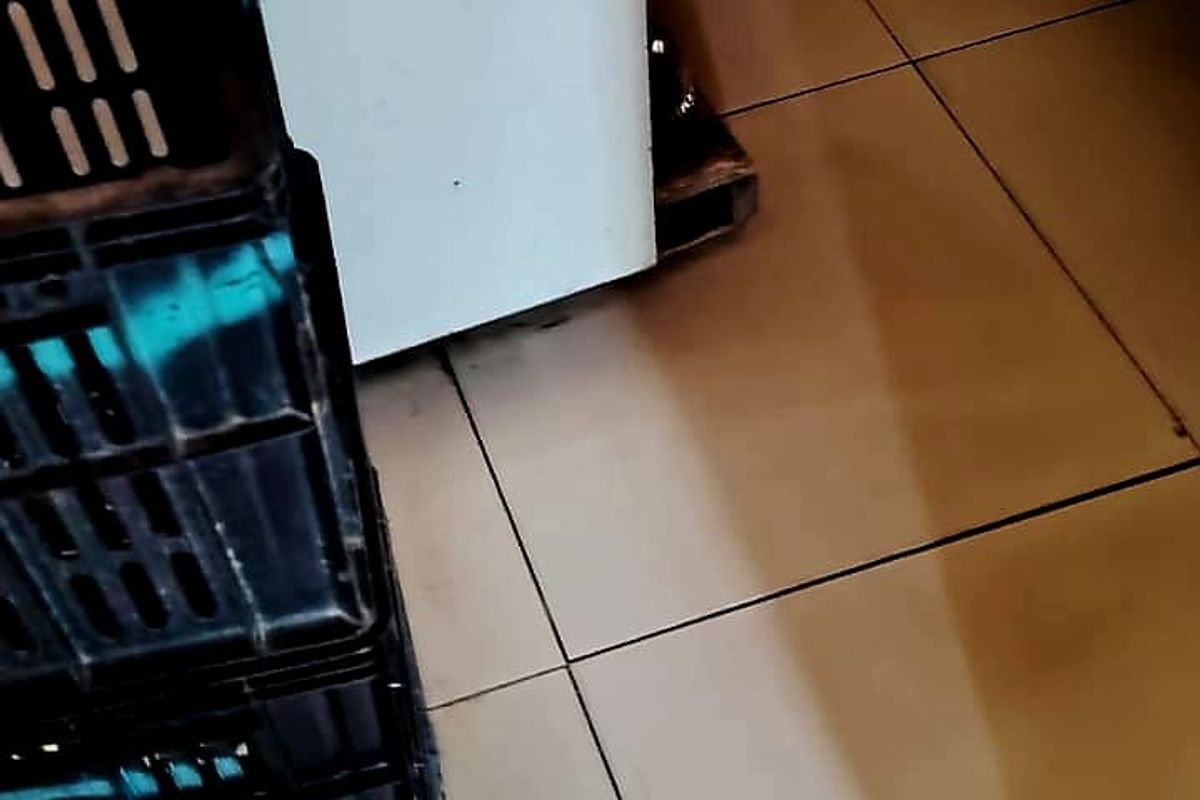 House for Sale  in Mdantsane NU15 - Photo 4