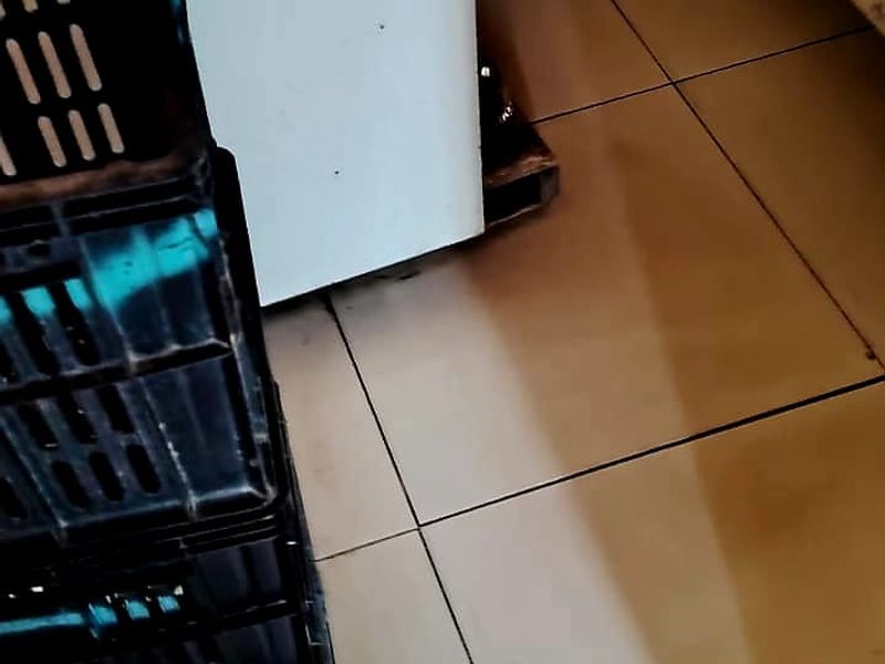 House for Sale  in Mdantsane NU15 - Photo 4