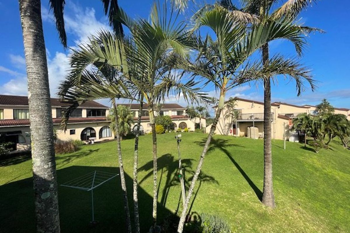 A view of the rear exterior of the apartment complex, featuring a well-maintained communal lawn area and mature palm trees.