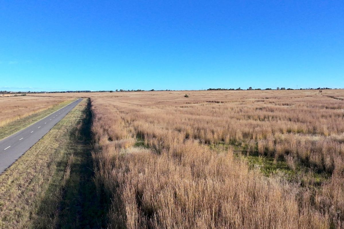 Prime Vacant Land with Breathtaking Vaal Dam Views - Photo 4