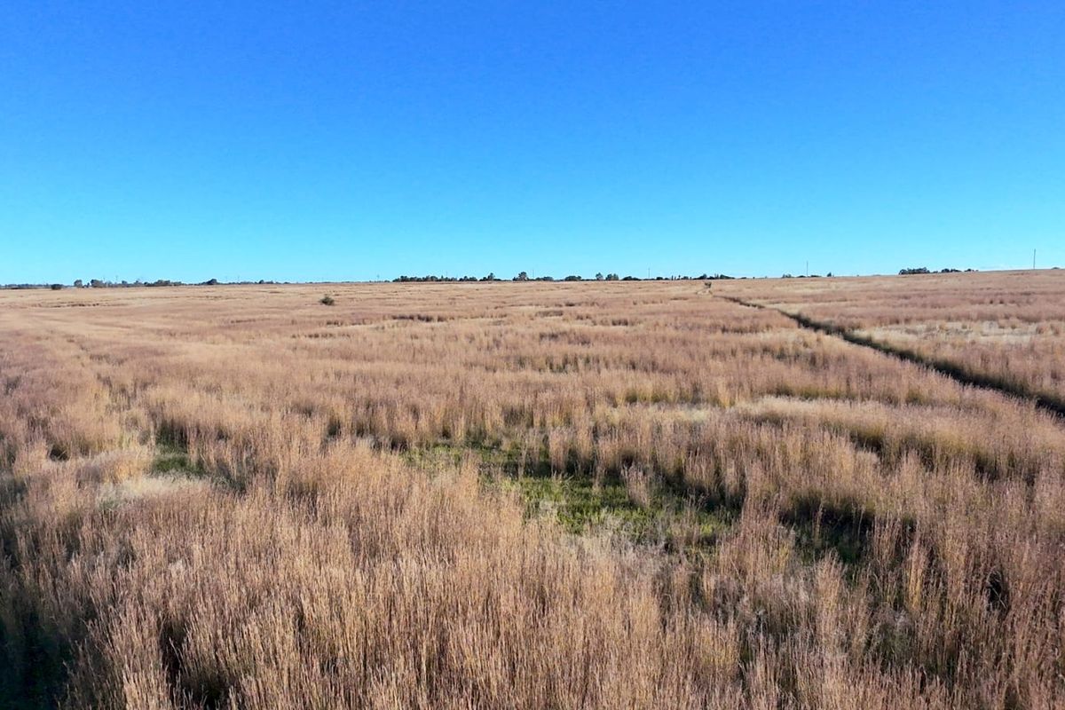 Prime Vacant Land with Breathtaking Vaal Dam Views - Photo 5