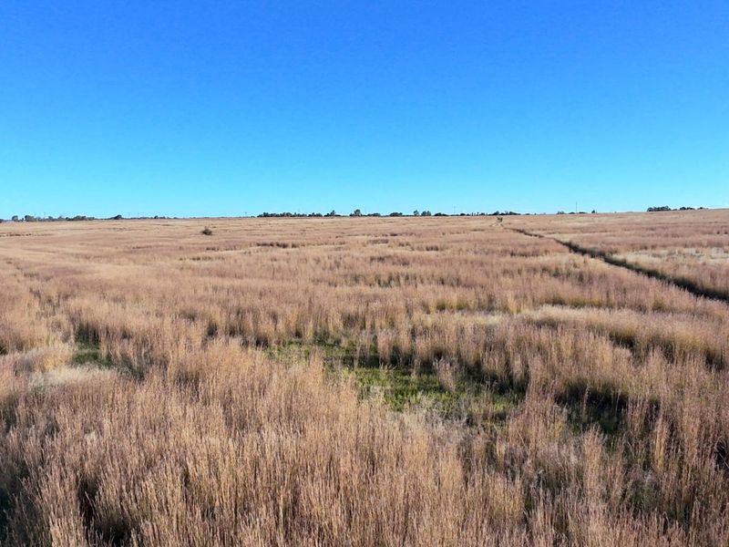 Prime Vacant Land with Breathtaking Vaal Dam Views - Photo 5