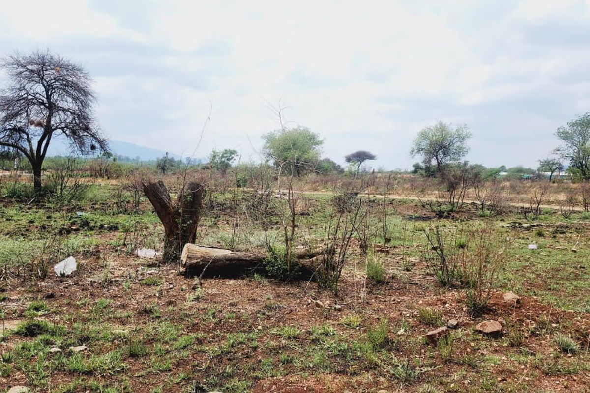 Exceptional Development Opportunity at Hartbeespoort - Photo 5