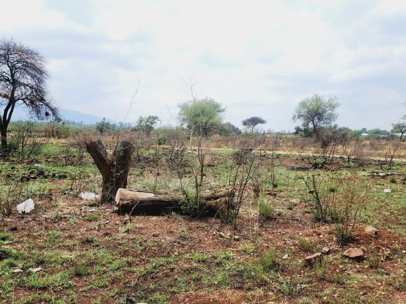 Exceptional Development Opportunity at Hartbeespoort - Photo 5