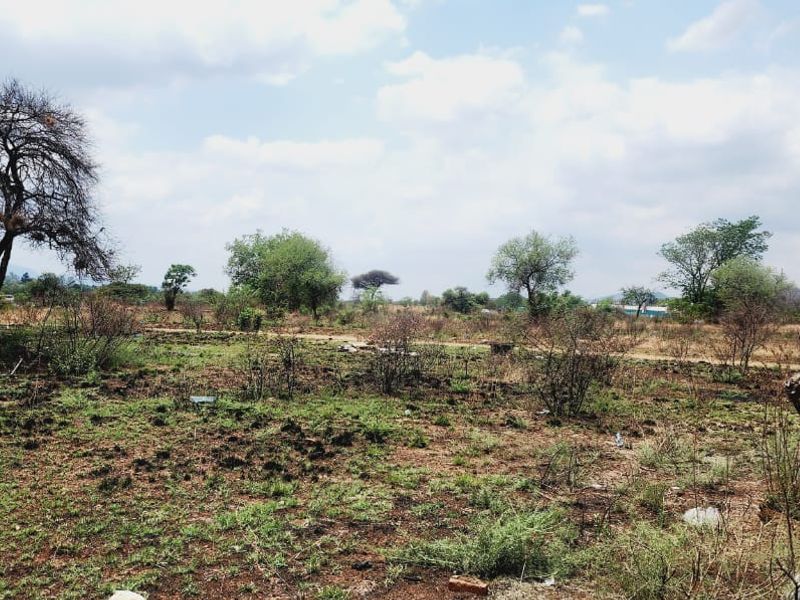 Exceptional Development Opportunity at Hartbeespoort - Photo 10