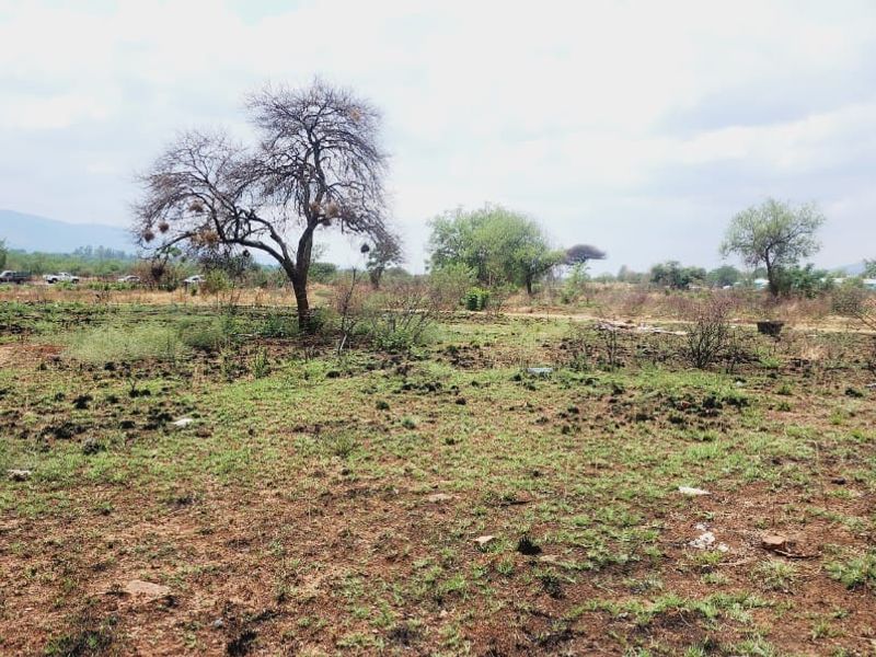 Exceptional Development Opportunity at Hartbeespoort - Photo 9