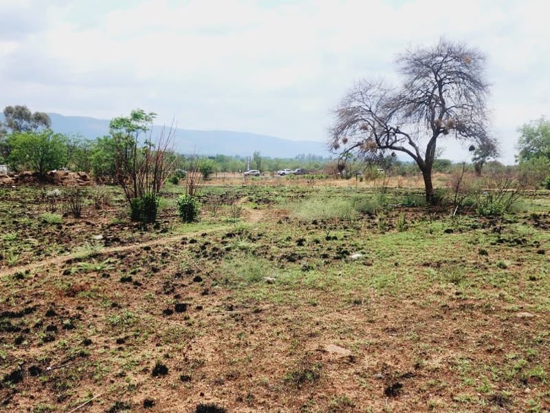 Exceptional Development Opportunity at Hartbeespoort - Photo 7