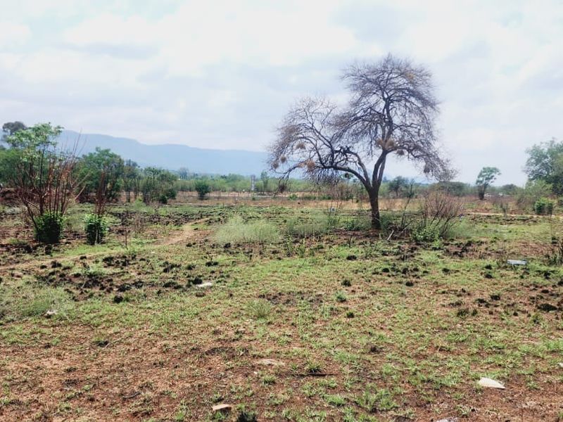 Exceptional Development Opportunity at Hartbeespoort - Photo 6