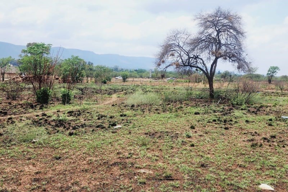 Investor Appeal - Prime 1.274 Heactrare of High Potenetial land available - Photo 5