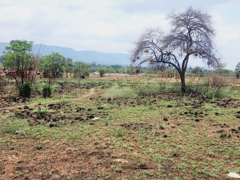 Investor Appeal - Prime 1.274 Heactrare of High Potenetial land available - Photo 5