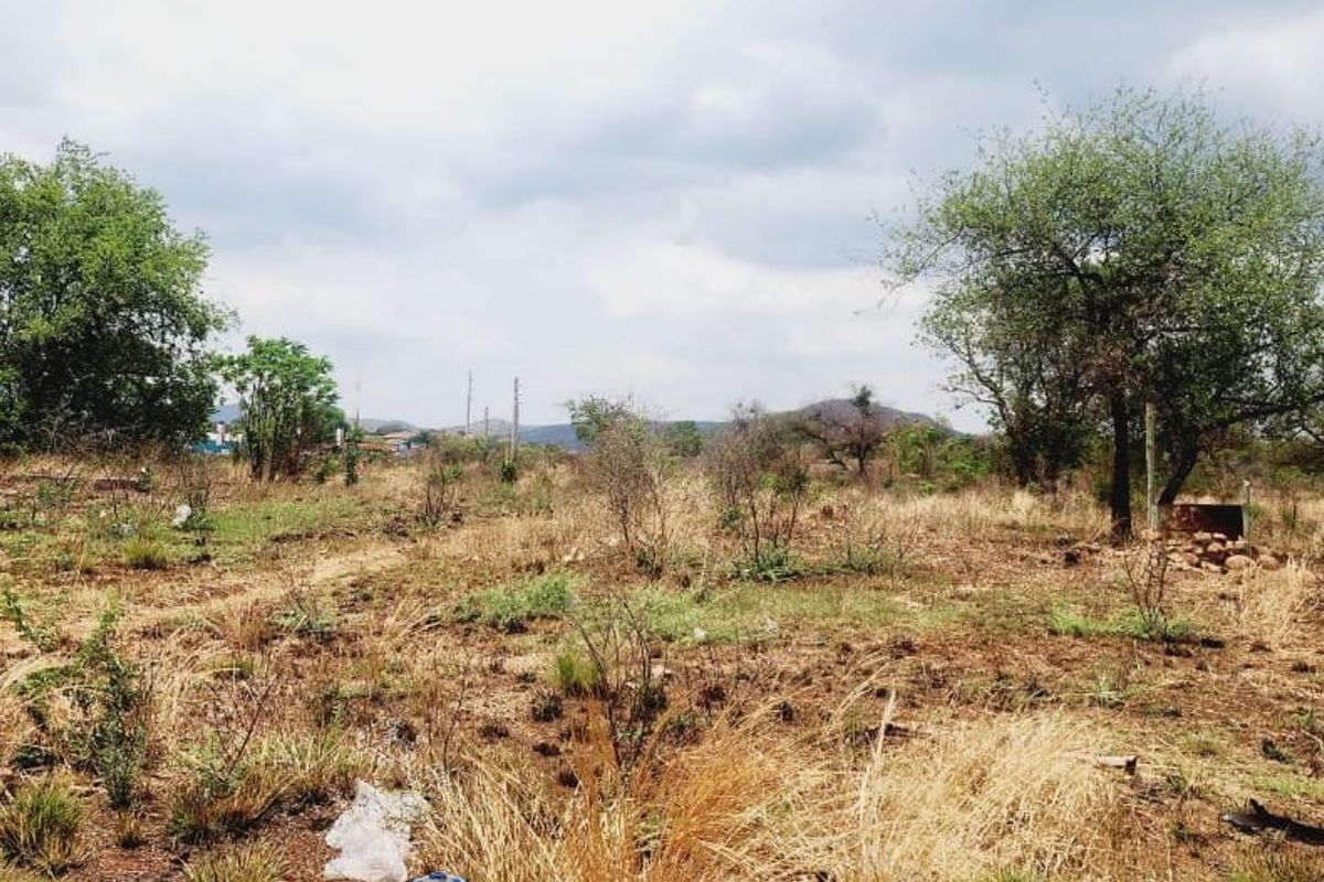 Investor Appeal - Prime 1.274 Heactrare of High Potenetial land available - Photo 3