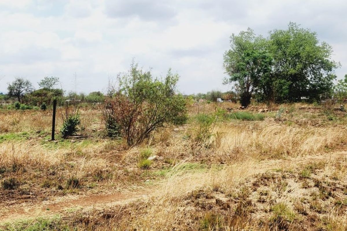 Investor Appeal - Prime 1.274 Heactrare of High Potenetial land available - Photo 4