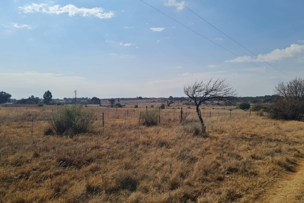 Farm for Sale!! Klerksdorp, Rural!!  - Photo 5