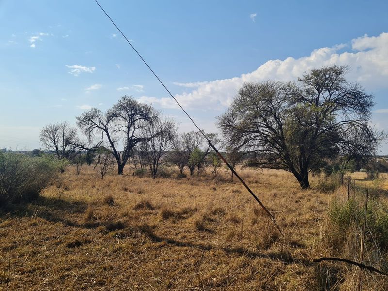 Farm for Sale!! Klerksdorp, Rural!!  - Photo 9