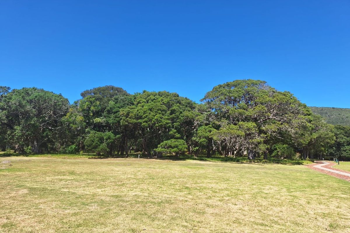 Level sun-drenched stand in Luxury Eco Lifestyle Estate  - Photo 4