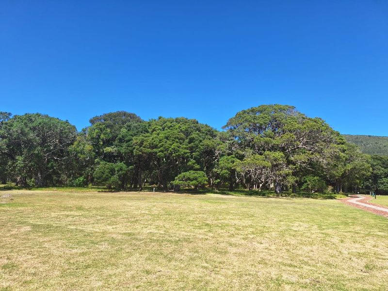 Level sun-drenched stand in Luxury Eco Lifestyle Estate  - Photo 4
