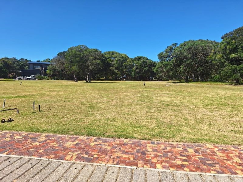 Level sun-drenched stand in Luxury Eco Lifestyle Estate  - Photo 8