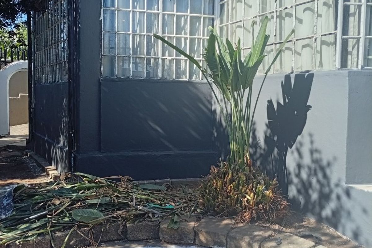 NSFAS Accredited Property - Photo 3