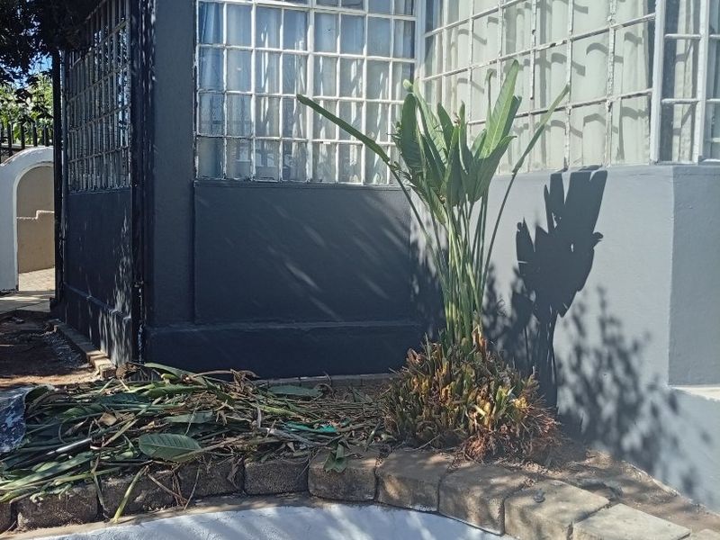NSFAS Accredited Property - Photo 3