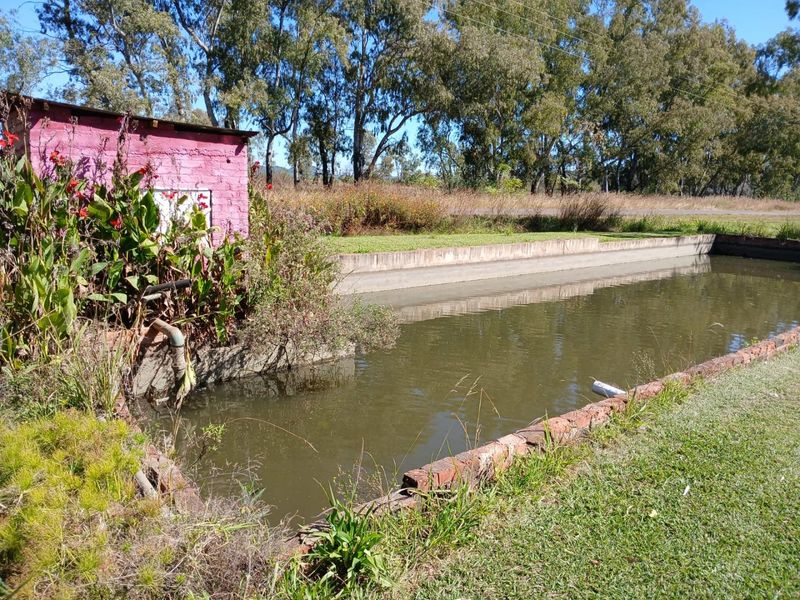 10ha Irrigation Farm in Honingnestkrans with Proven Fertile Soil & Strong Water Rights – Ideal for Profitable Agriculture - Photo 5