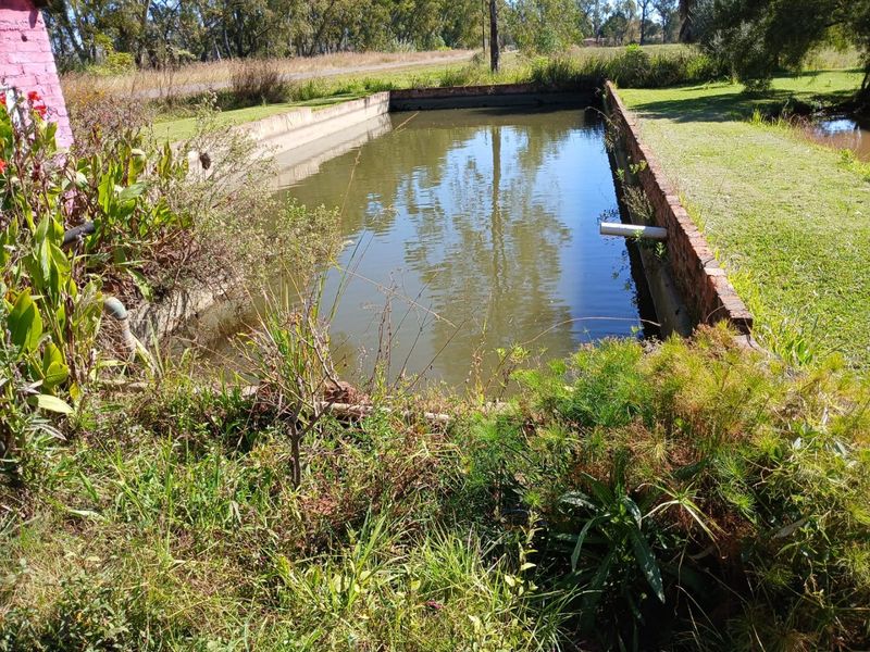 10ha Irrigation Farm in Honingnestkrans with Proven Fertile Soil & Strong Water Rights – Ideal for Profitable Agriculture - Photo 7