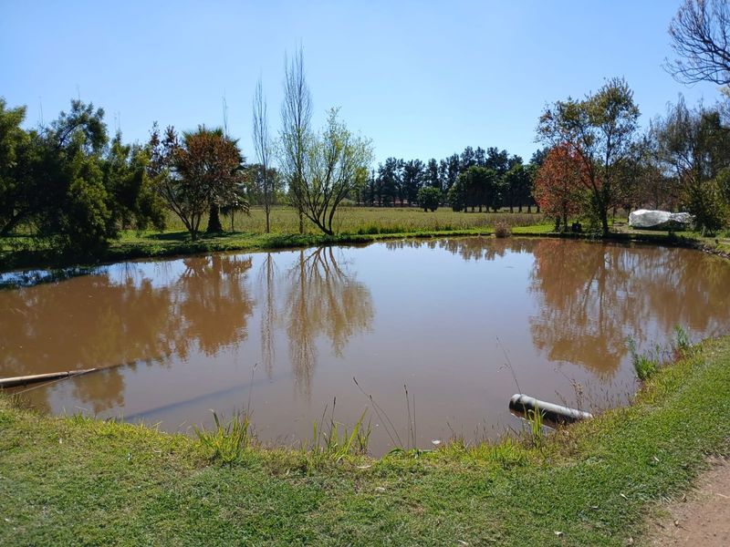 10ha Irrigation Farm in Honingnestkrans with Proven Fertile Soil & Strong Water Rights – Ideal for Profitable Agriculture - Photo 6