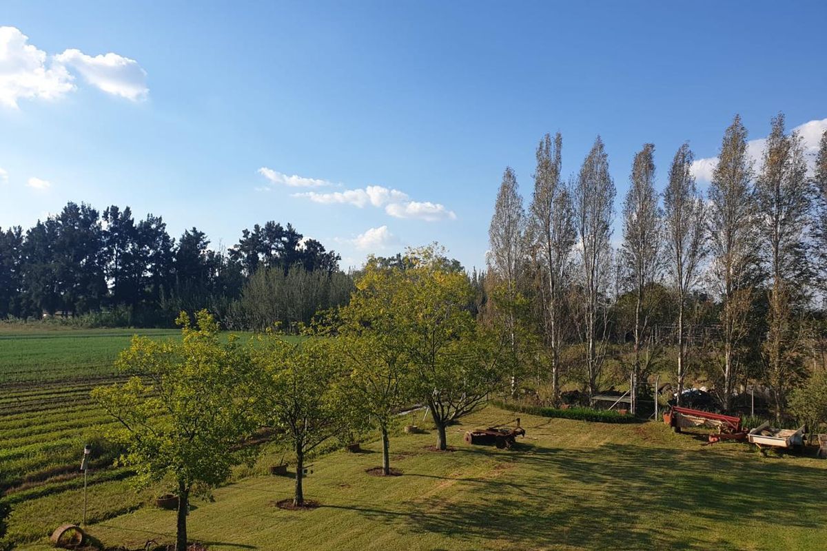 10ha Irrigation Farm in Honingnestkrans with Proven Fertile Soil & Strong Water Rights – Ideal for Profitable Agriculture - Photo 2