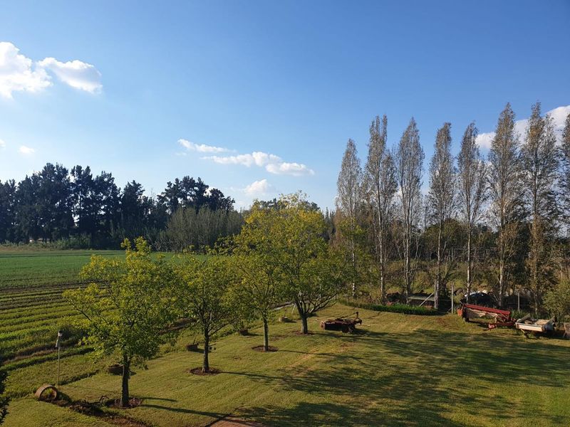 10ha Irrigation Farm in Honingnestkrans with Proven Fertile Soil & Strong Water Rights – Ideal for Profitable Agriculture - Photo 2