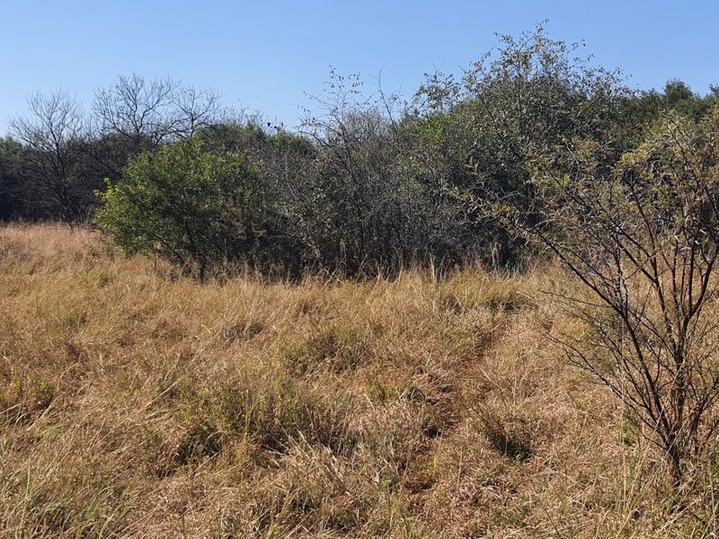 Prime stand for Sale in La Camargue Private Country Estate - Photo 9