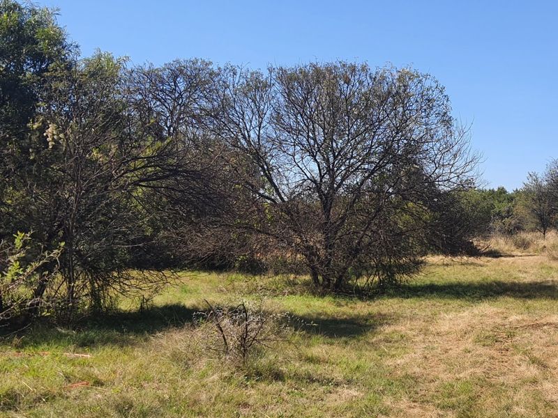 Prime stand for Sale in La Camargue Private Country Estate - Photo 8