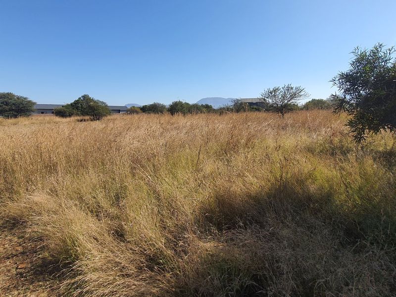 Experience Serence Estate Living at La Camargue Private Country Estate - Photo 2