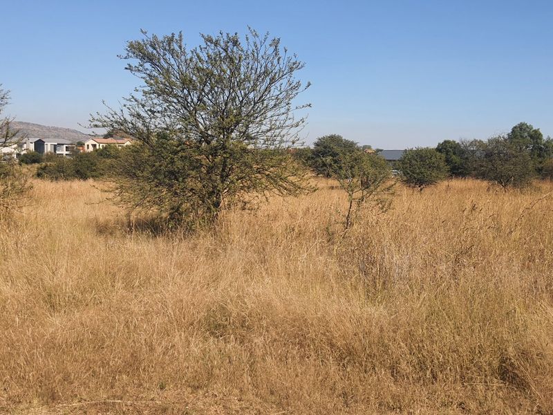 Experience Serence Estate Living at La Camargue Private Country Estate - Photo 9